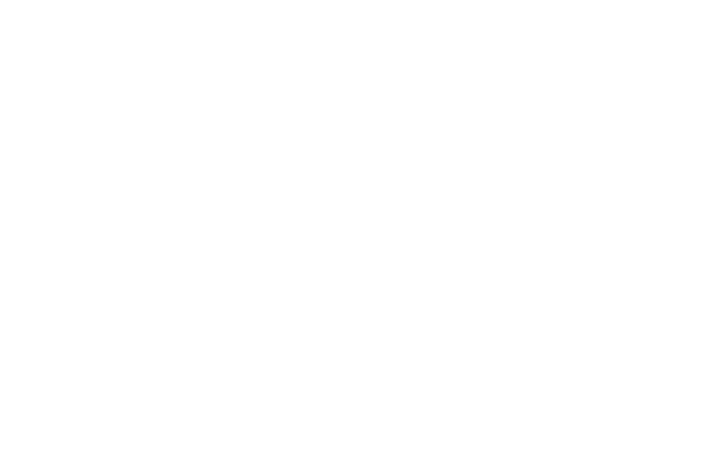 Nogueras Designs, Month-of Wedding Coordinator