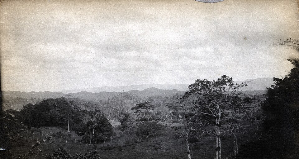 Jamaica